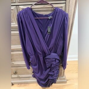 Express Deep Purple Long Sleeve Dress